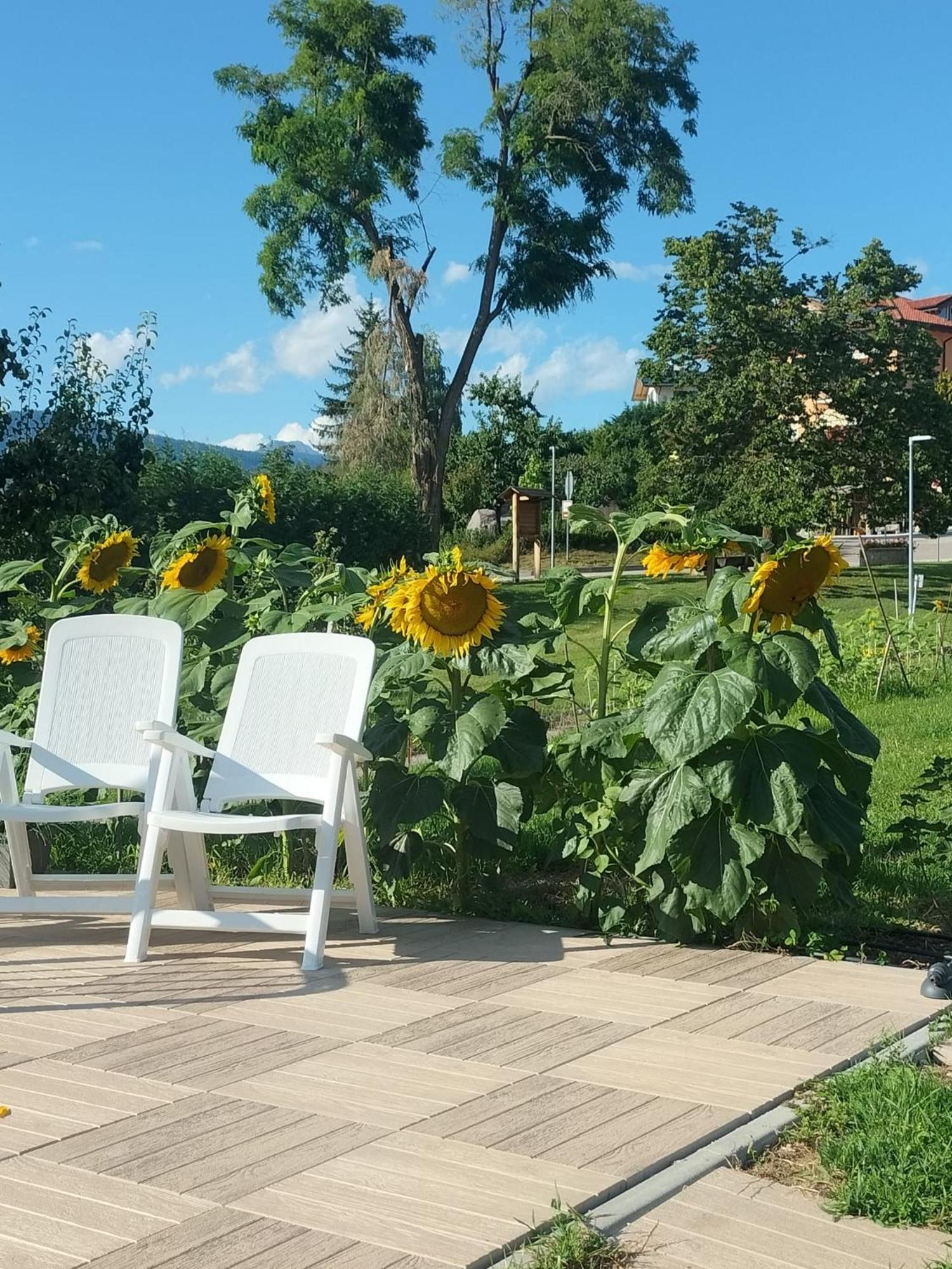 I Girasoli Sanzeno Ngoại thất bức ảnh